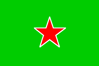 MAPU flag